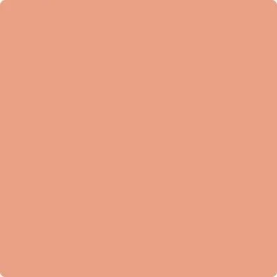 026 Coral Glow