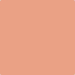 026 Coral Glow