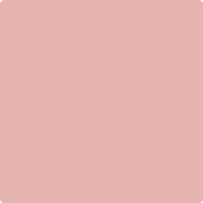 1291 Brighton Rock Candy
