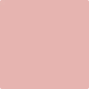 1291 Brighton Rock Candy