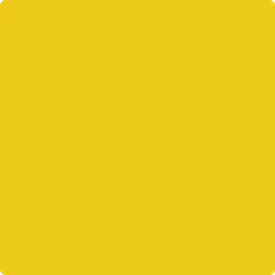 2023-10 Yolk