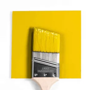 2023-10 Yolk