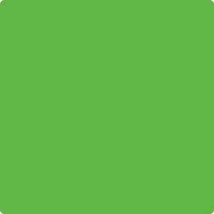 2031-20 Paradise Green