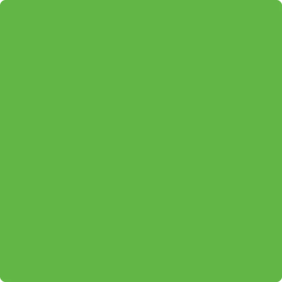 2031-20 Paradise Green