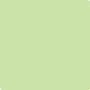 2031-50 Key Lime