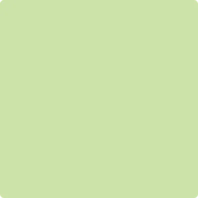 2031-50 Key Lime