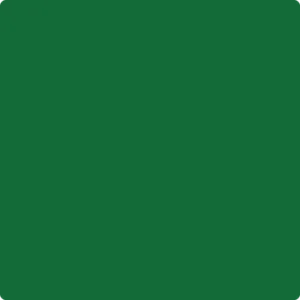 2035-10 Seaweed