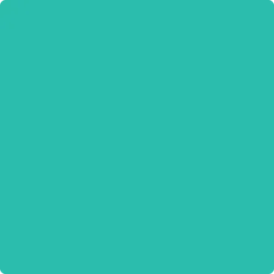 2046-40 Green Sponge