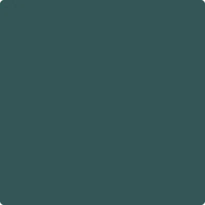 2050-20 Dollar Bill Green