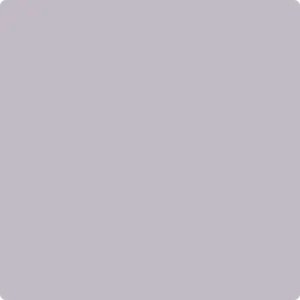 2116-50 African Violet