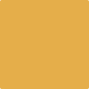 301 Glen Ridge Gold