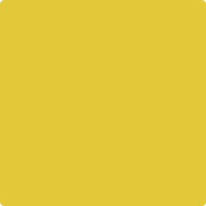 357 Yellow Hibiscus
