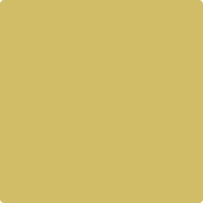377 Mustard Field