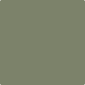 475 Galapagos Green