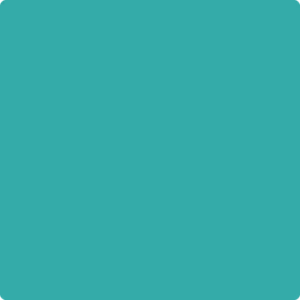 733 Palm Coast Teal