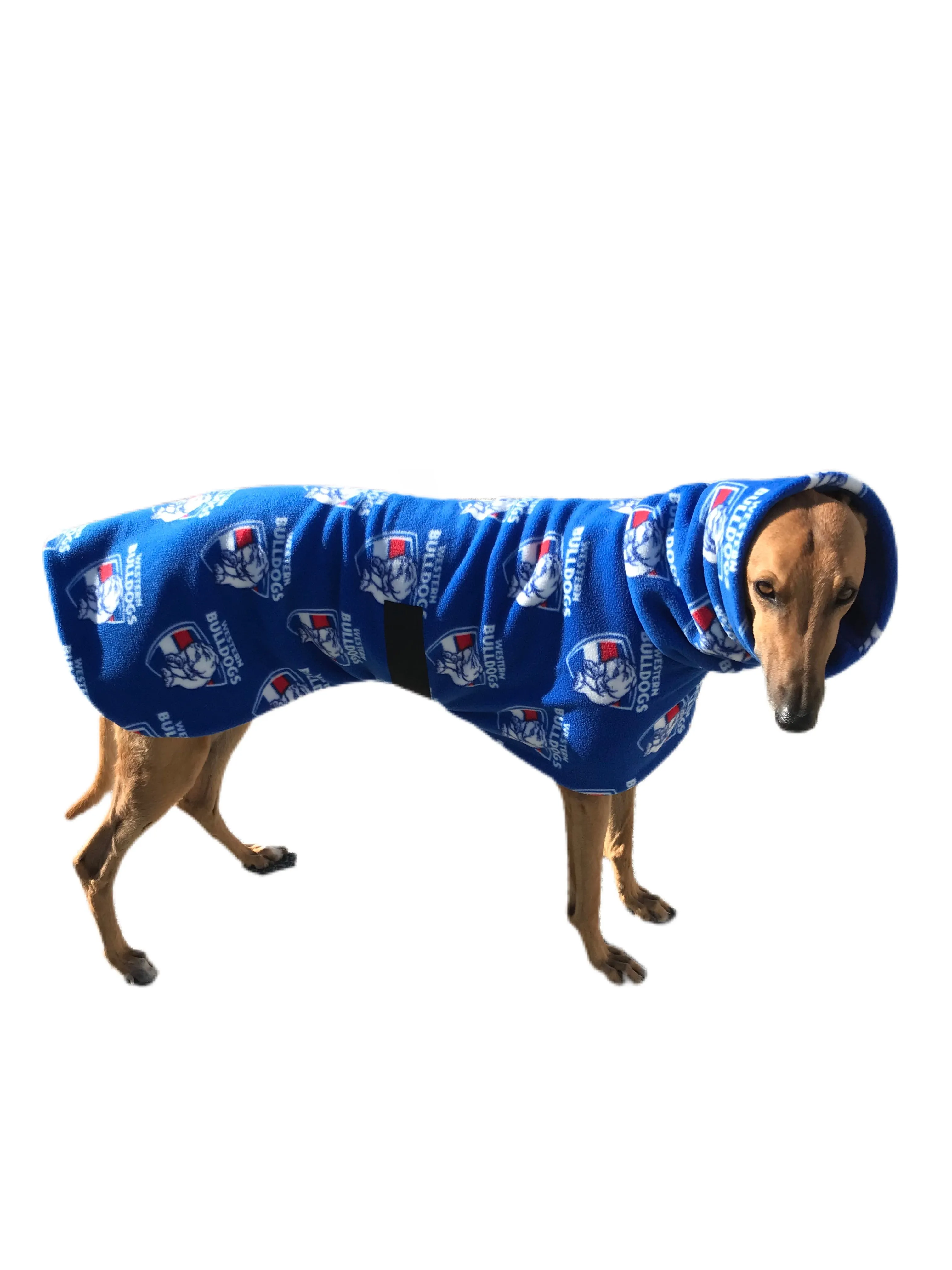 AFL Western Bulldogs inspired greyhound coat deluxe style double polar fleece washable
