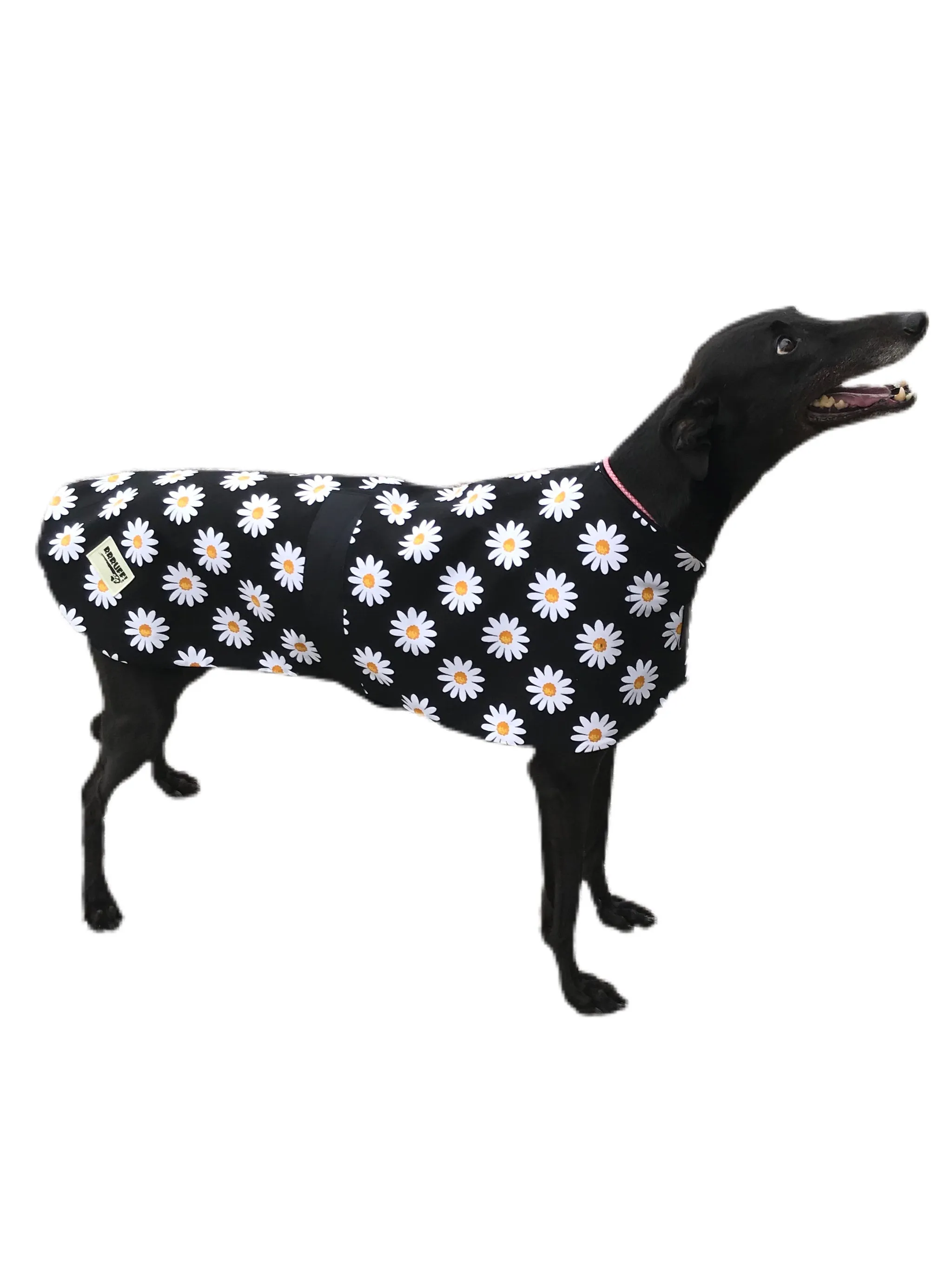 Autumn range greyhound classic style Greyhound ‘crazy daisy’ coat in cotton & thick fleece washable