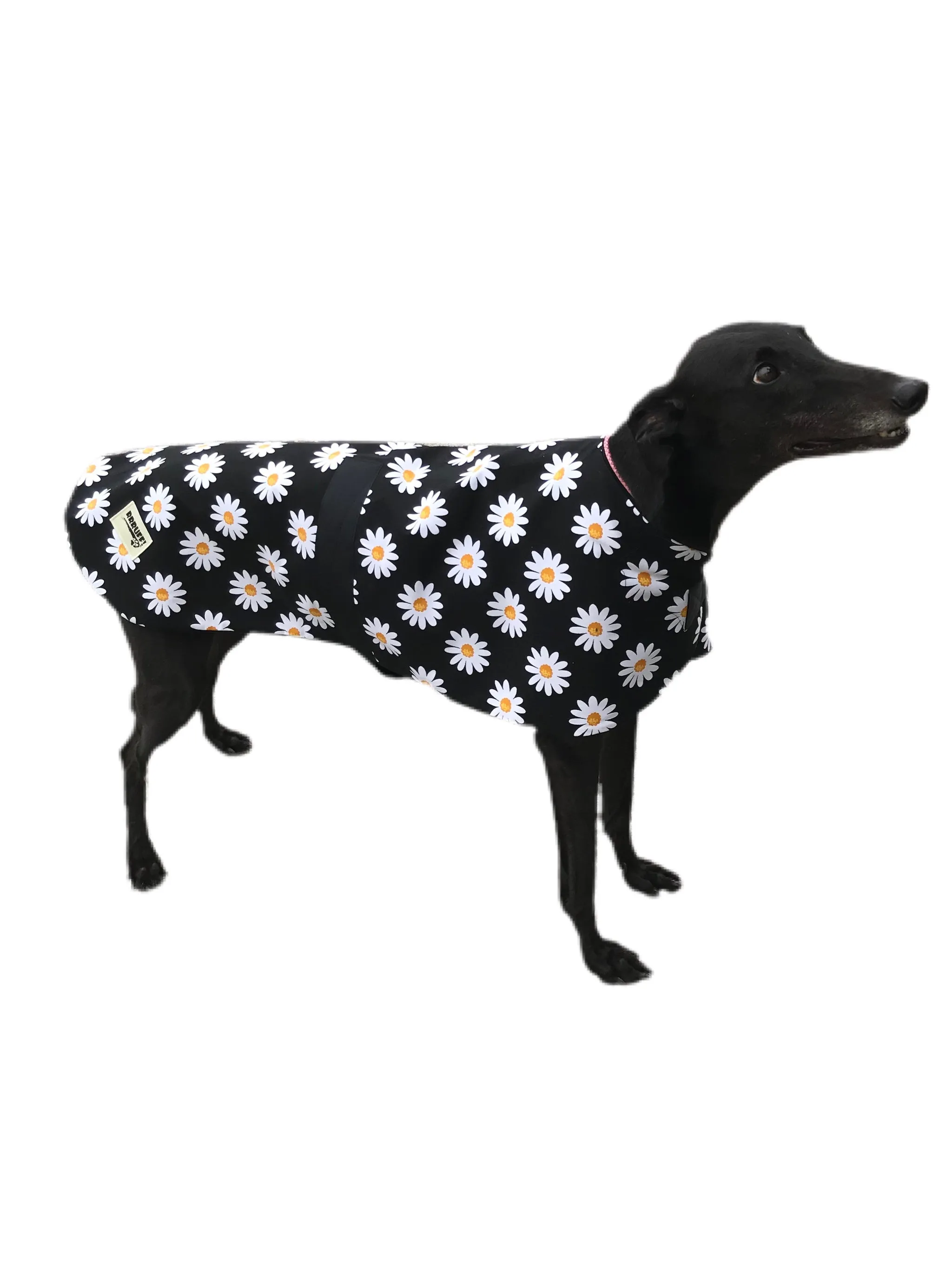 Autumn range greyhound classic style Greyhound ‘crazy daisy’ coat in cotton & thick fleece washable
