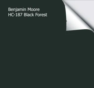Benjamin Moore Black Forest Green