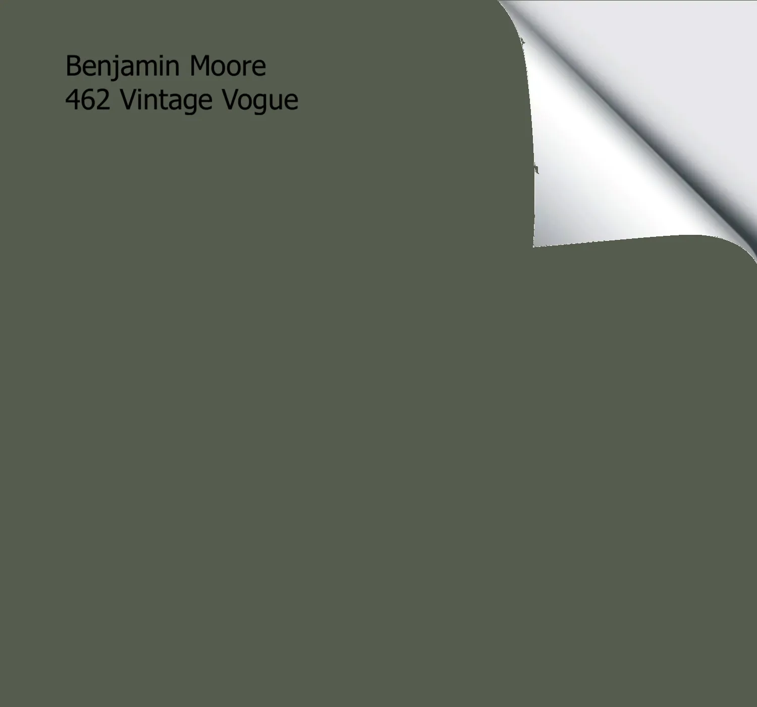 Benjamin Moore Vintage Vogue