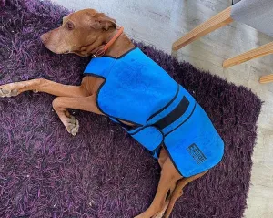 Cooling Coat By Easidri