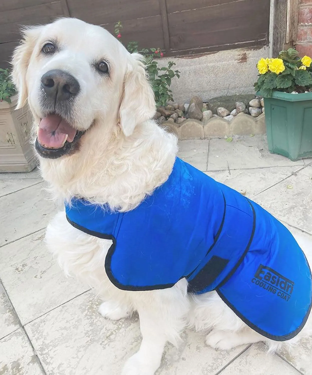 Cooling Coat By Easidri