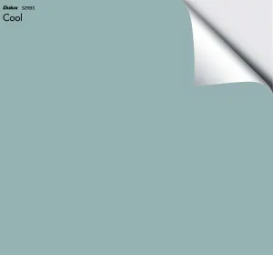Dulux Cool
