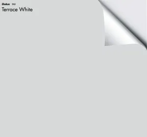 Dulux Terrace White