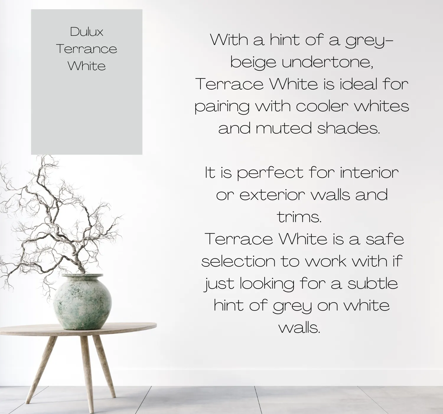 Dulux Terrace White