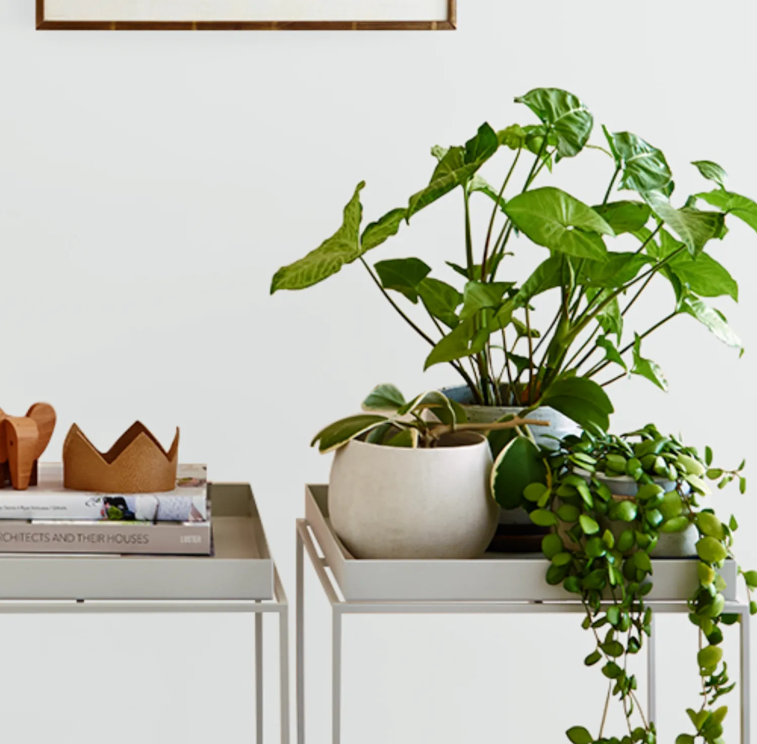 Haymes Greyology 2