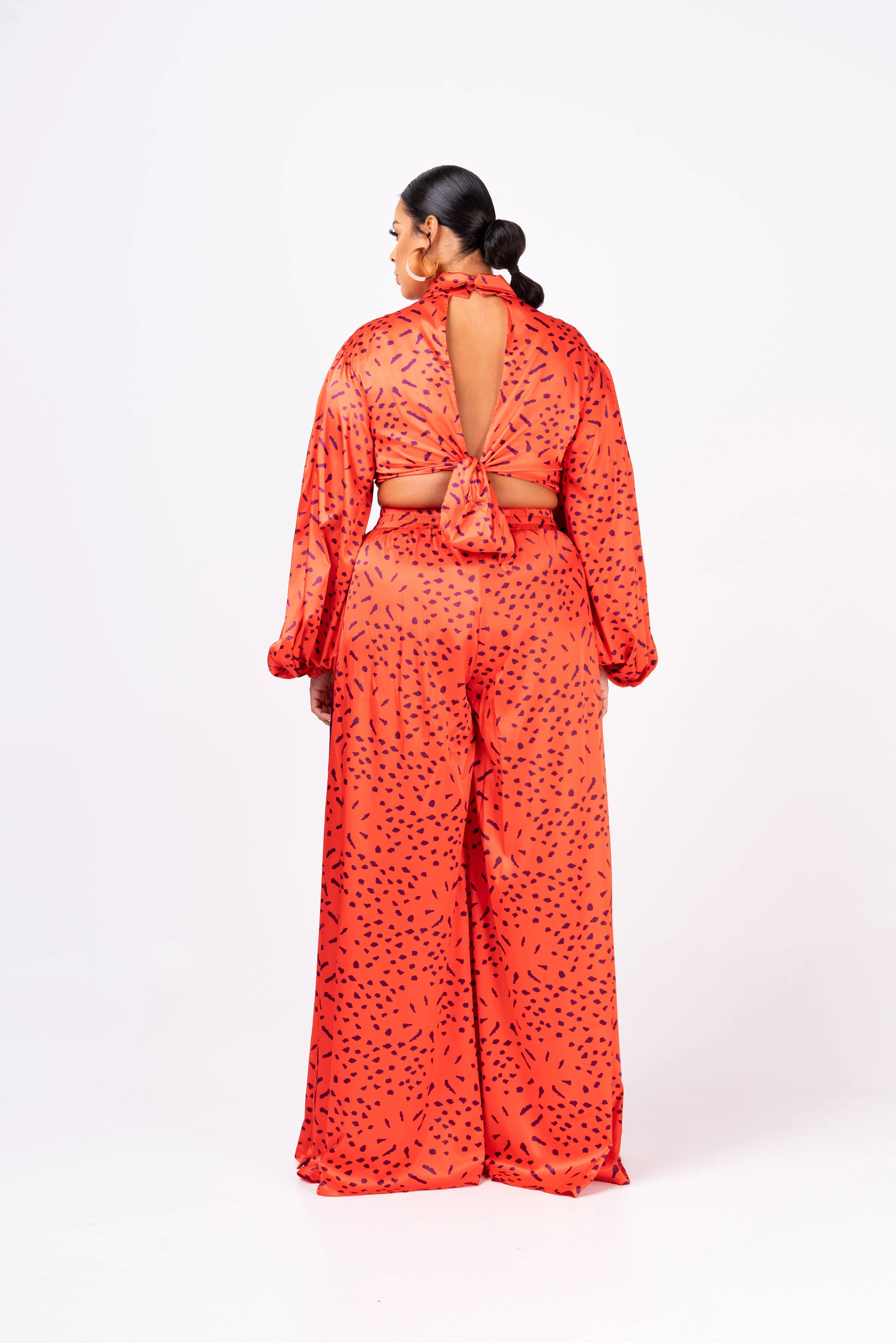 SAMIAH LONG SLEEVE BACK TIE CROP TOP