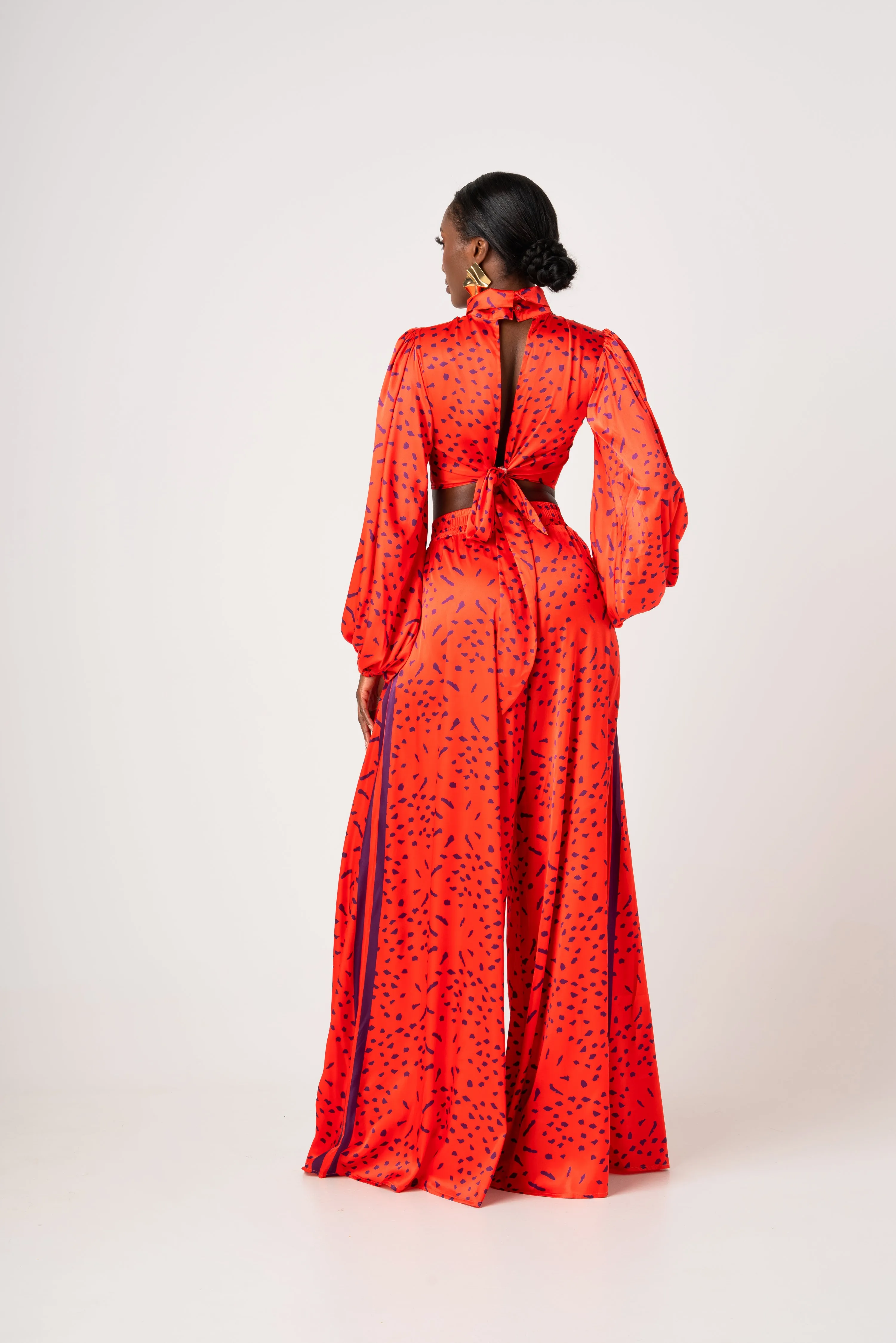 SAMIAH LONG SLEEVE BACK TIE CROP TOP