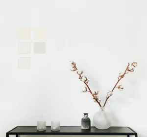 Sampler Pack - Haymes Natural Series