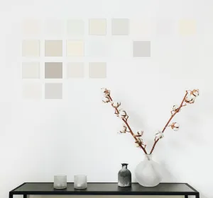Sampler Pack - Haymes Top 20 Whites