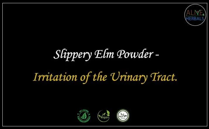 Slippery Elm Powder