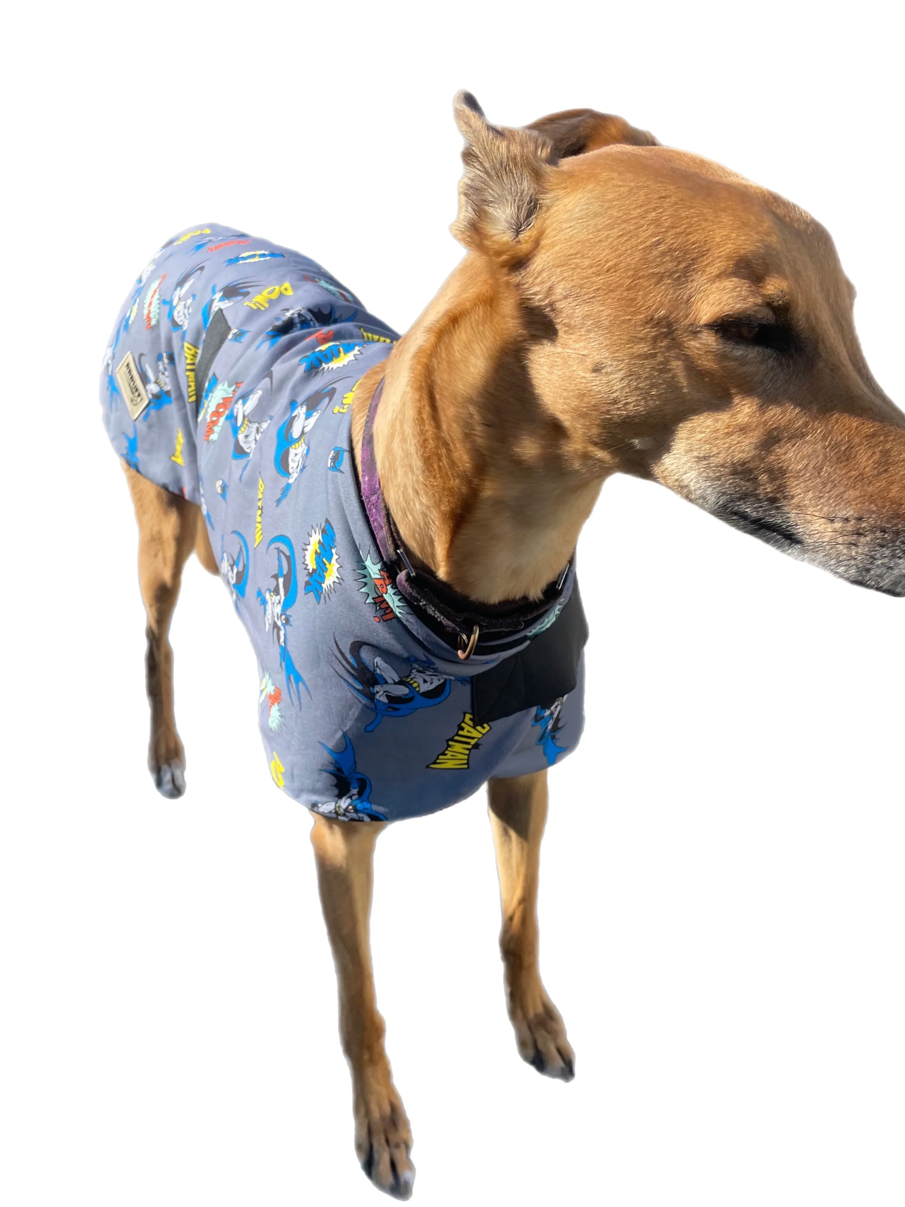 Spring classic style Greyhound coat Batman design in cotton & lush fleece washable