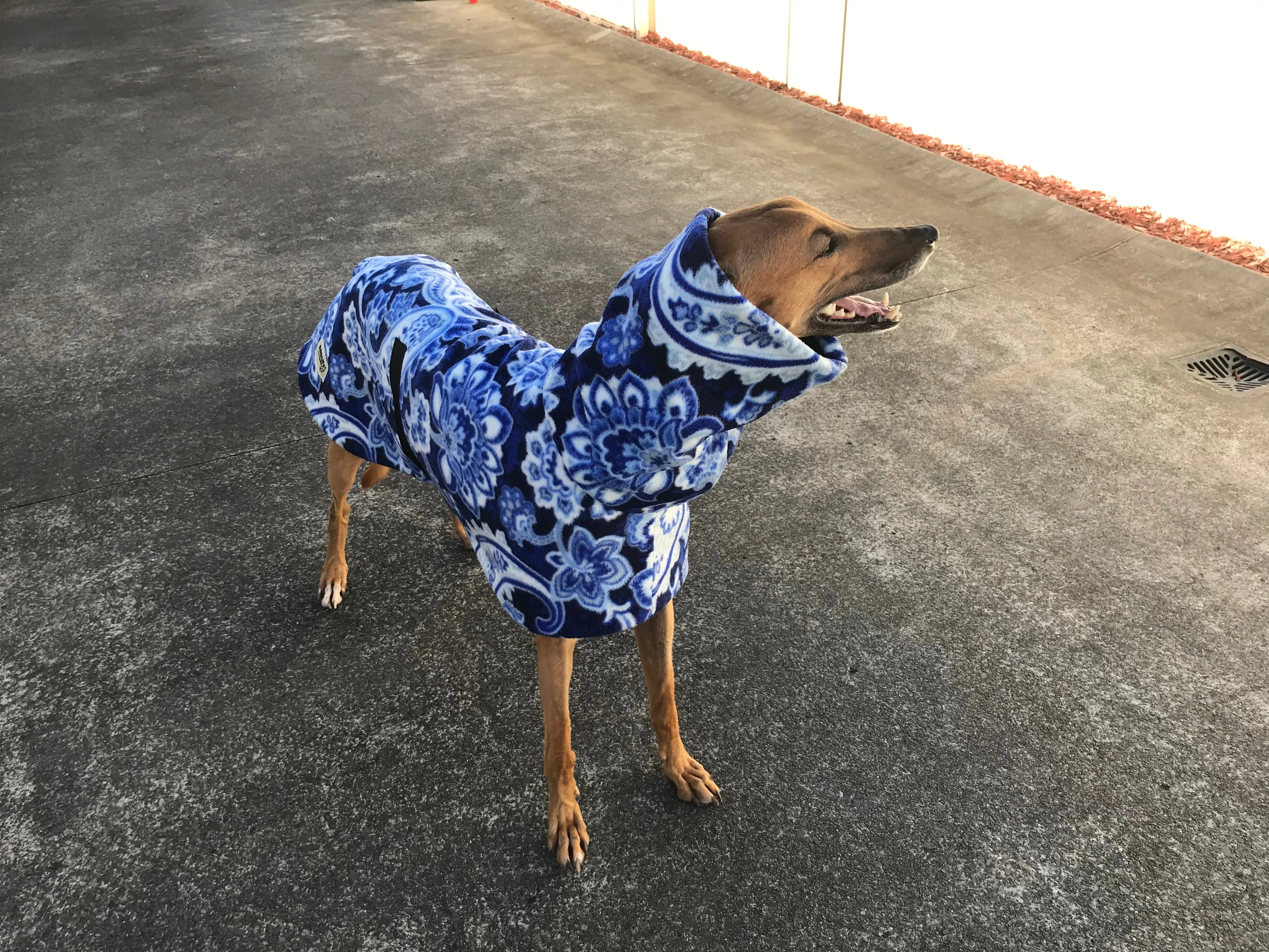 Swish & swirls of blue Greyhound Deluxe coat rug thick polar fleece washable extra wide neck hoodie