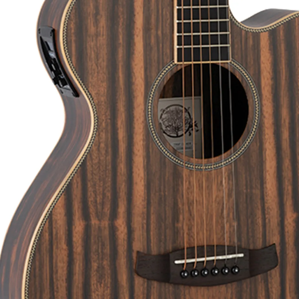 Tanglewood TRU4-CE-AE Reunion Pro Solid top all Ebony Super Folk